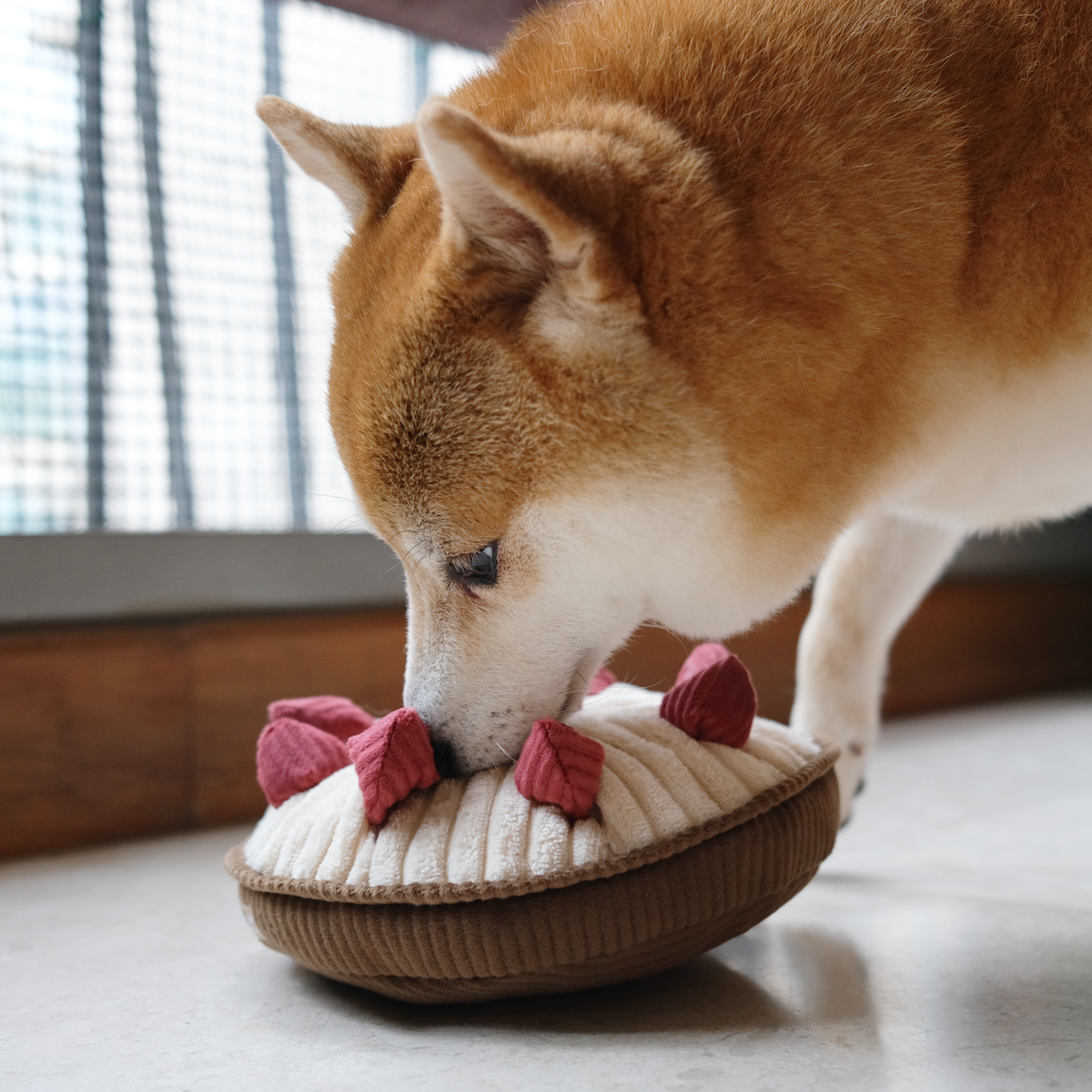 BERRY PIE Schnüffelspiel