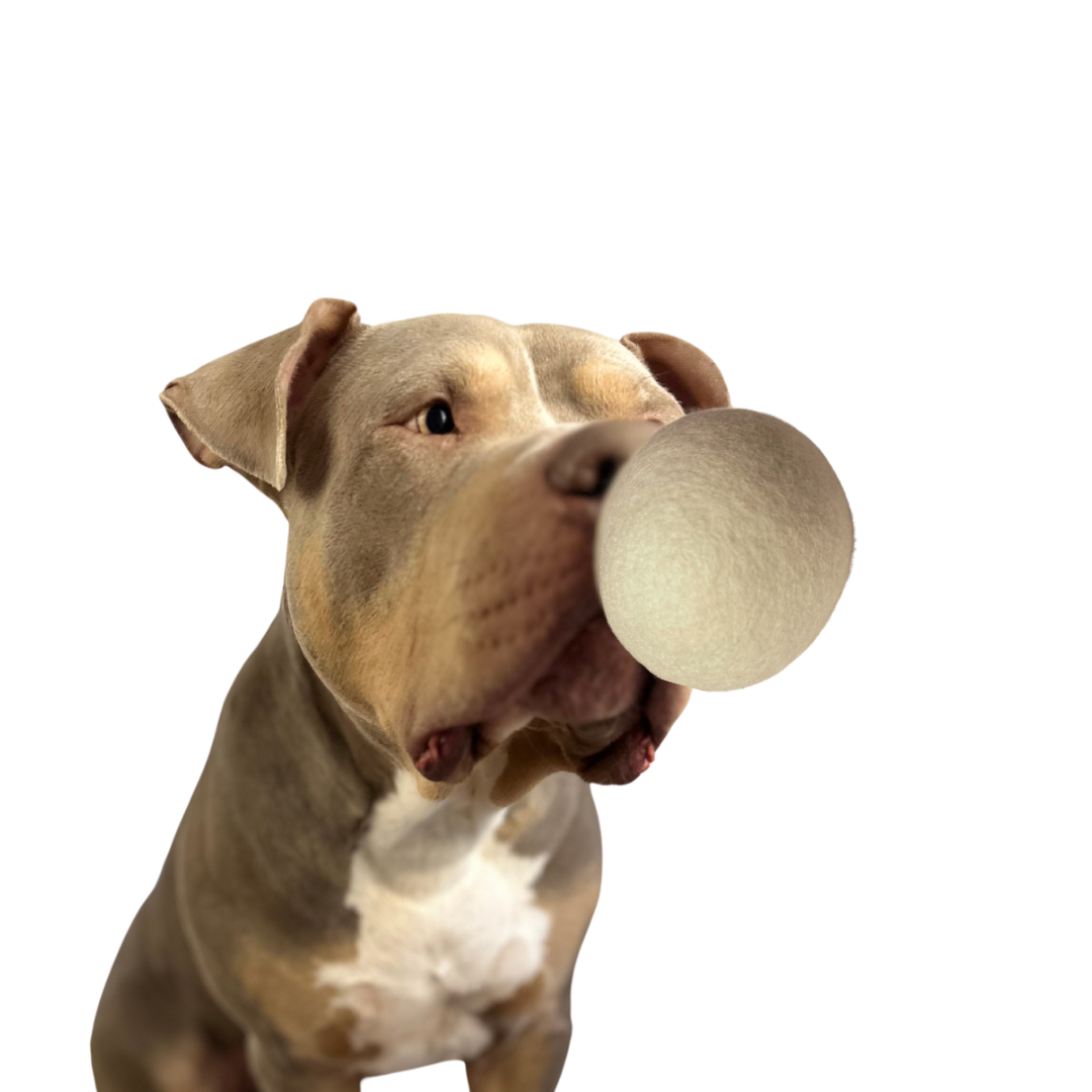 Filzball creme