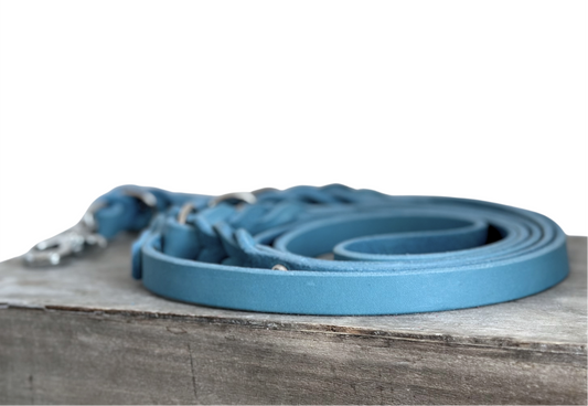 Fettlederleine Audrey Babyblau