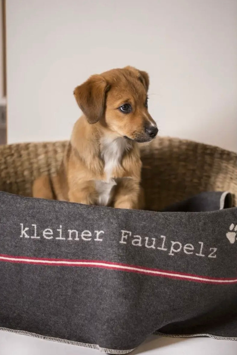 Haustierdecke Faulpelz